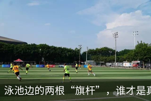 泳池边的两根“旗杆”，谁才是真正的水上霸主？